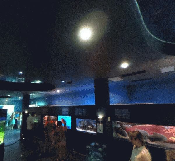 Банкомат Сбербанка России по адресу наб. Петра Великого,  д. 1