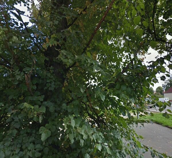 Отделение банка Российский Капитал по адресу ул. Тельмана,  д. 39